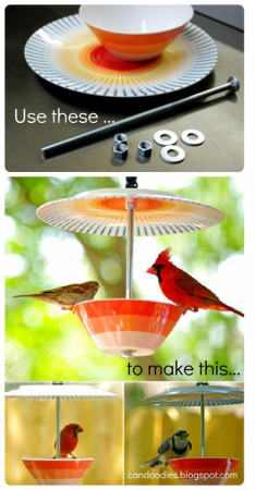 Mangeoire à oiseaux